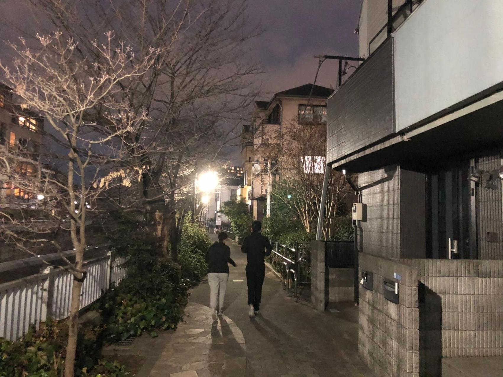 Sakurakan Villa Tokio