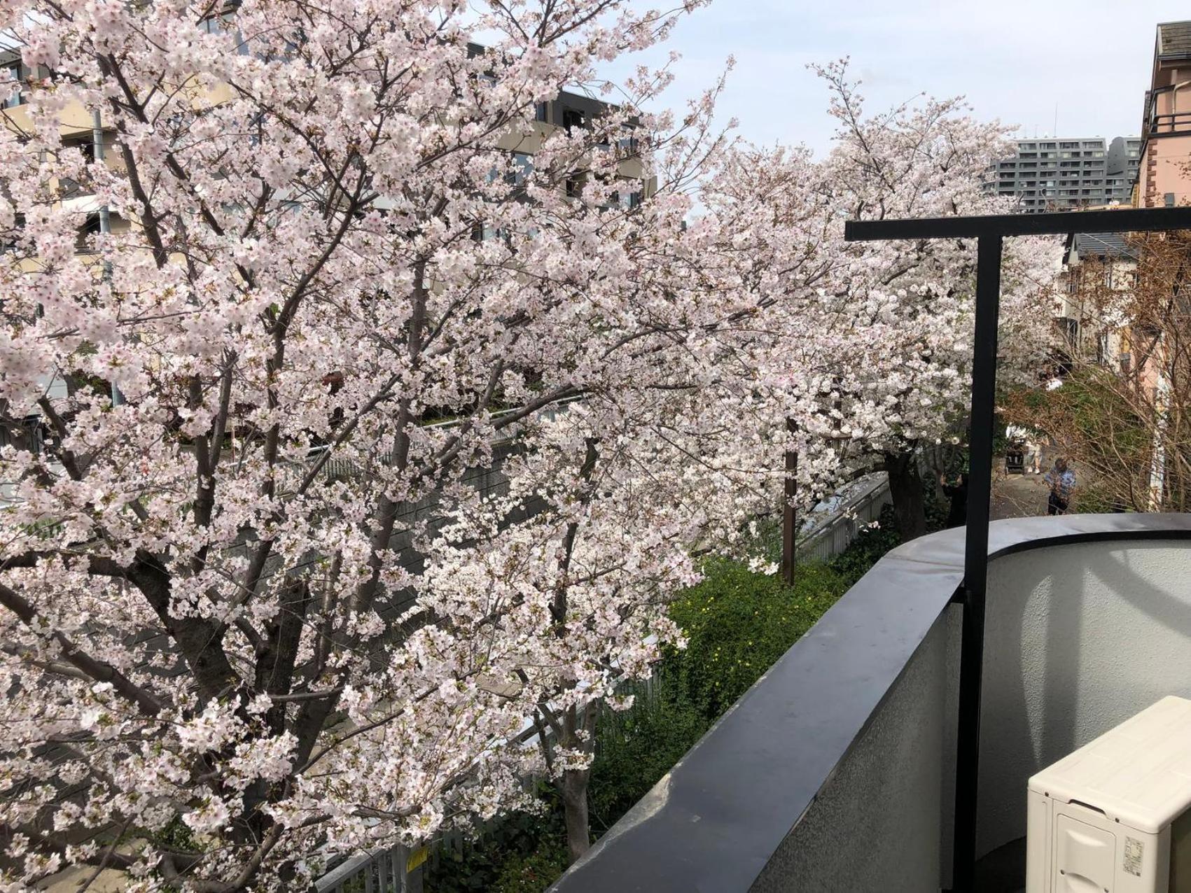 Sakurakan Tokio