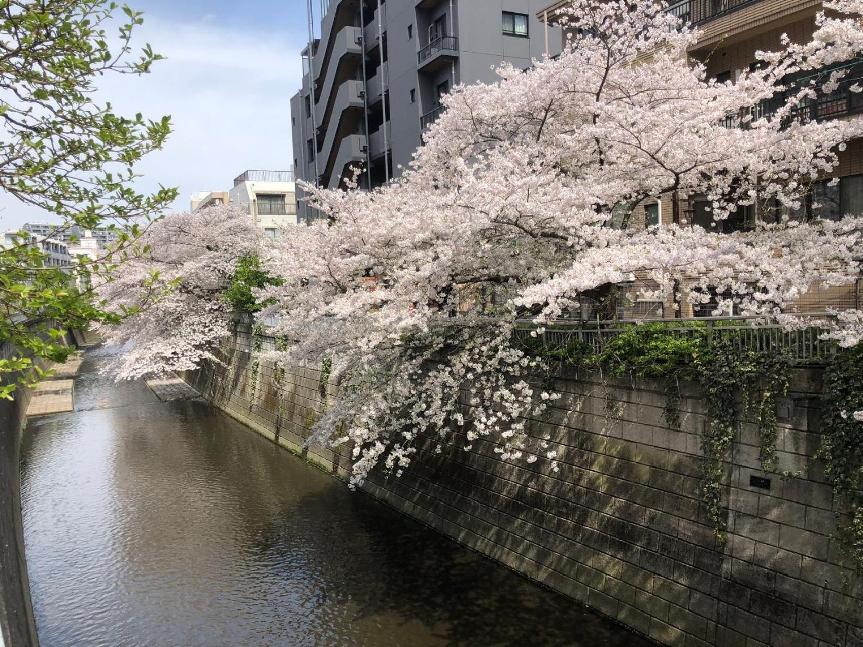 Sakurakan Villa